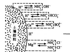 施用碳酸氫銨為什么要強(qiáng)調(diào)深施覆土？