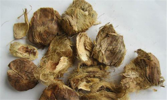 大腹皮的相關論述
