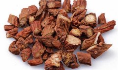 丹參的性能、主治、臨床應(yīng)用及用藥注意事項(xiàng)