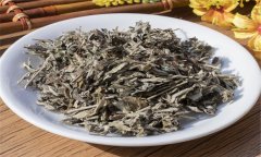 艾葉的性能、主治、臨床應(yīng)用及注意事項(xiàng)