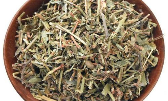 萹蓄的用法、用量與禁忌