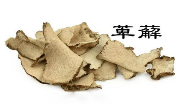 萆薢的用法，用量與禁忌