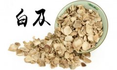 白及的產(chǎn)地是哪里？白及的用法、用量與禁忌
