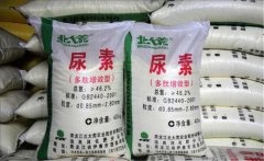 氮肥利用率大約是多少，氮肥是尿素肥嗎？