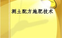 什么是測(cè)土配方施肥，測(cè)土配方施肥的基本要求
