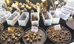 怎樣安全貯存蔬菜種子？蔬菜種子知識(shí)