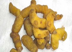 黃精的產(chǎn)地有哪些？
