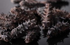 如何選購干海參？干海參的發(fā)泡方法