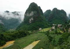 目前較好的農(nóng)村致富項(xiàng)目有哪些？