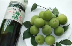 怎樣自制梅子酒？介紹梅子酒的做法