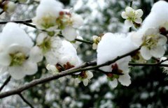小寒節(jié)氣是什么意思？小寒節(jié)氣的氣候特征