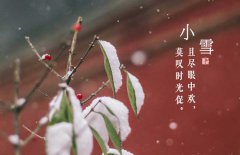 小雪節(jié)氣是什么意思，小雪節(jié)氣吃什么食品？