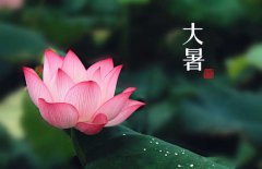 大暑是幾月幾日，大暑的節(jié)日民俗的哪些？