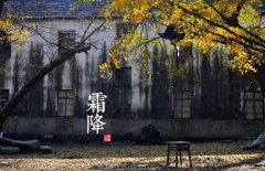 寒露是什么意思，寒露的氣候特征有哪些？