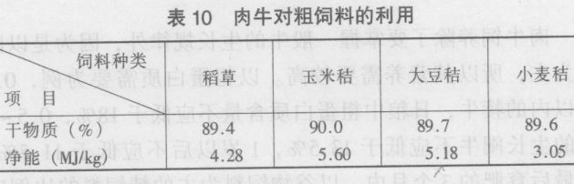 肉牛的飼養(yǎng)技術(shù)