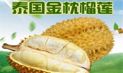 榴蓮品種介紹 常見的榴蓮品種有哪些？