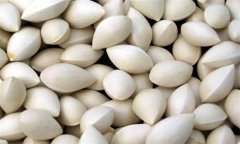白果的功效與作用及食用方法、禁忌