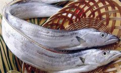 帶魚(yú)發(fā)黃能吃嗎？帶魚(yú)表面發(fā)黃的原因是什么