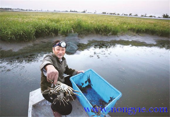 水源充足、水質(zhì)清新無污染