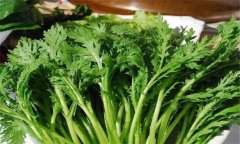 茼蒿種植技術(shù)要點(diǎn)，如何種植茼蒿