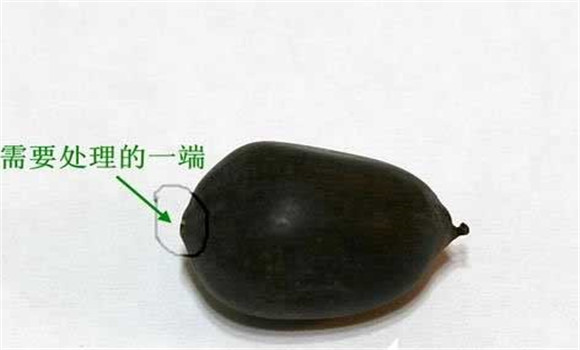 碗蓮的種植方法帶圖，碗蓮的種植方法與技術(shù)詳