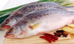 鱸魚是海魚還是淡水魚，海鱸魚和河鱸魚的區(qū)別