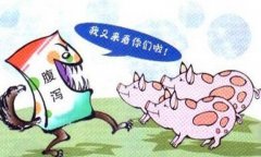 豬流行性腹瀉怎么治療、預防與防治要點有哪些