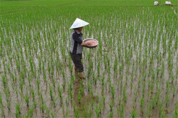 科學管水