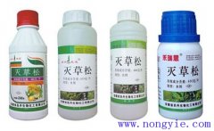 滅草松除草機(jī)理、使用范圍 草松能消滅哪些草害