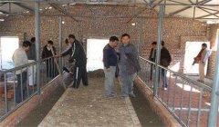 奶牛場設(shè)施設(shè)備有哪些，是如何分類的？