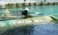 魚(yú)赤皮病的治療方法、是什么引起、有什么癥狀