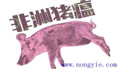 非洲豬瘟什么癥狀 非洲豬瘟的防控措施、要點