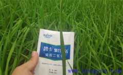 沖施肥哪個(gè)品牌好？沖施肥和水溶肥的區(qū)別