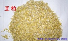 怎樣用豆粕喂牛，豆粕和豆餅喂牛效果一樣嗎？