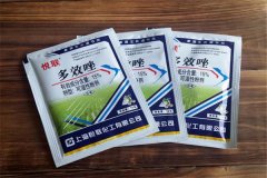 如何正確使用多效唑，用多了發(fā)生藥害怎么辦？