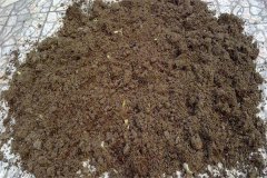 怎樣用多菌靈給土壤消毒，多菌靈可防治哪些病