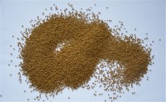 泥鰍的飼料以什么為主？養(yǎng)殖泥鰍的飼料建議配