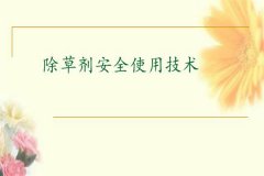 除草劑安全使用要點(diǎn) 發(fā)生除草劑藥害如何補(bǔ)救？