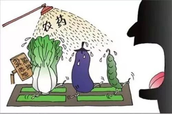 怎樣合理使用農(nóng)藥，防止農(nóng)藥對蔬菜的污染