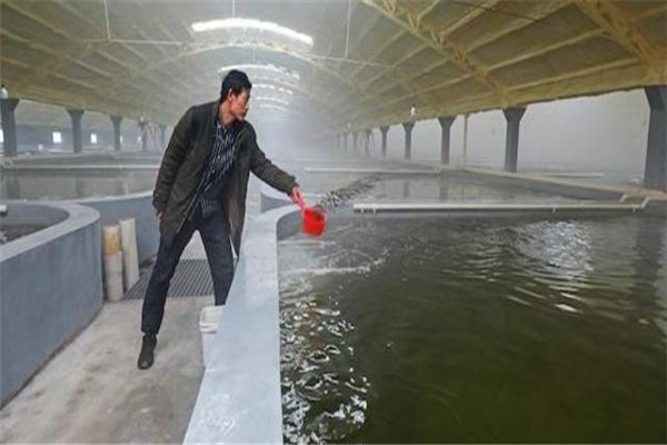 pH值。表示水的酸堿度