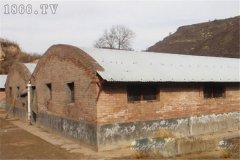 麝鼠圈舍建筑方法與要求有哪些？