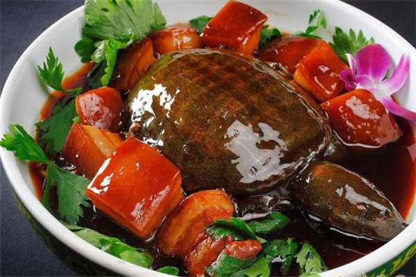 甲魚的營養(yǎng)價值、性味功效