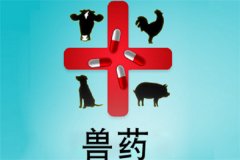 獸藥屬于藥品嗎？獸藥與人用藥的區(qū)別是什么？