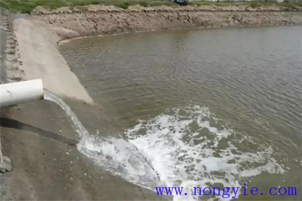 定期沖換水，保讓魚塘水質(zhì)