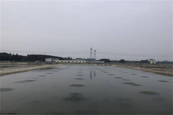 水質管理