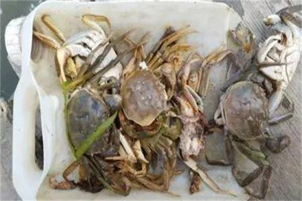近期河蟹養(yǎng)殖低產甚至虧損的原因