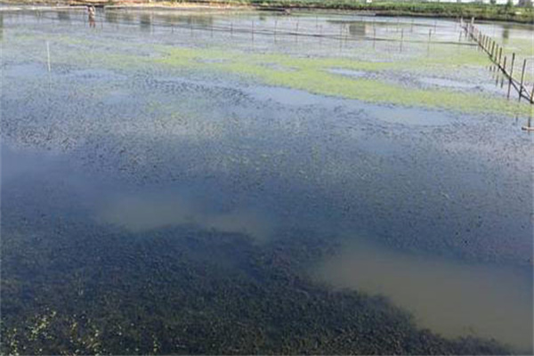 增加溶氧，促進(jìn)有機(jī)物氧化分解