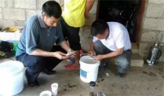 魚(yú)病治療中的發(fā)現(xiàn)、送診、用藥問(wèn)題