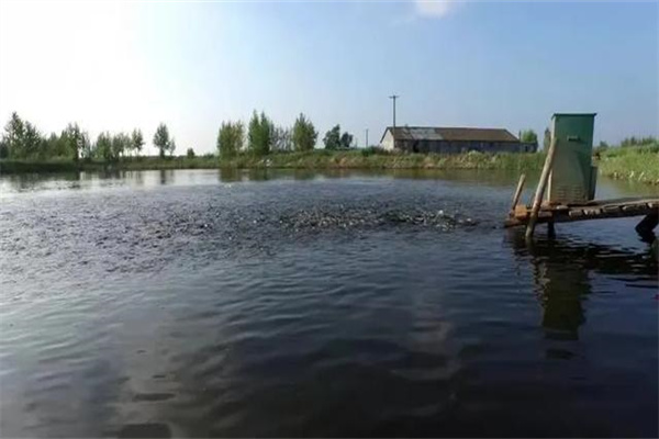 魚(yú)池面積、水深和底質(zhì)