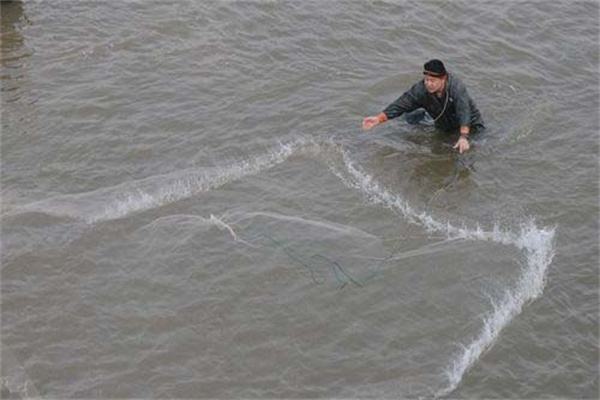 鯔魚(yú)苗的捕撈方法